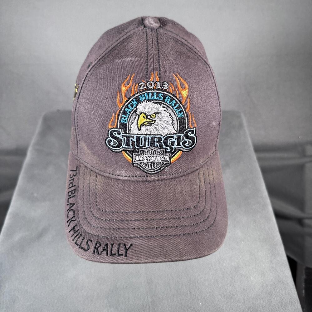 Harley-Davidson Sturgis Hat Cap Fitted Mens One Size‎ Black Hills Rally 2013